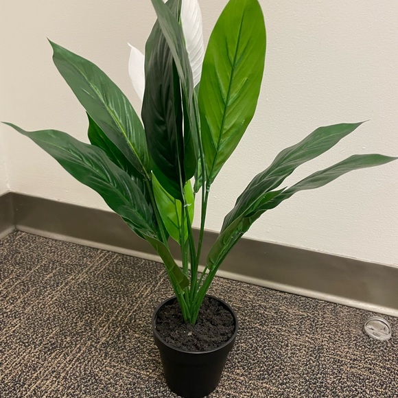 NWOT Faux White and Green Peace Lily Plant with Black Bottom Base Planter - Picture 3 of 5